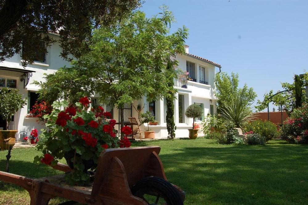 Chambre Seville - Mas Saint-Louis - Piscine Chauffee 艾格-莫尔特 外观 照片