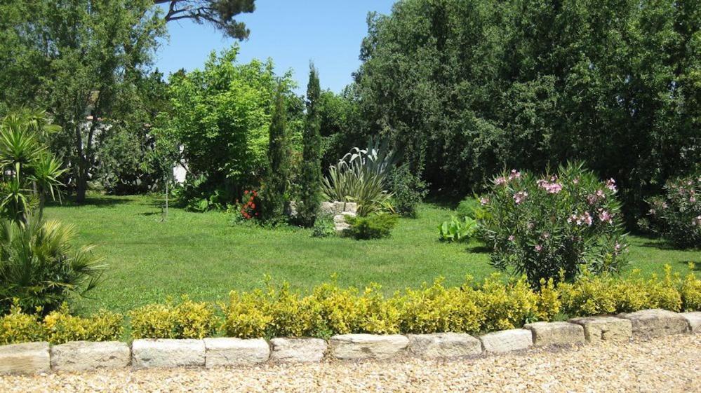 Chambre Seville - Mas Saint-Louis - Piscine Chauffee 艾格-莫尔特 外观 照片