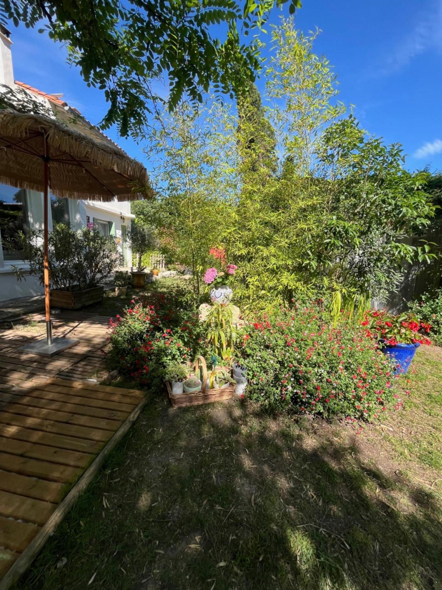 Chambre Seville - Mas Saint-Louis - Piscine Chauffee 艾格-莫尔特 外观 照片